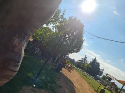 IMG fad86b23749b30456f028e8231d5b466 V