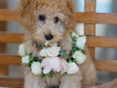 69b174d3deb70 (Medium)