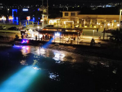 IMG 89db03bdcb1348a47270daf5fc8379e3 V (Medium)