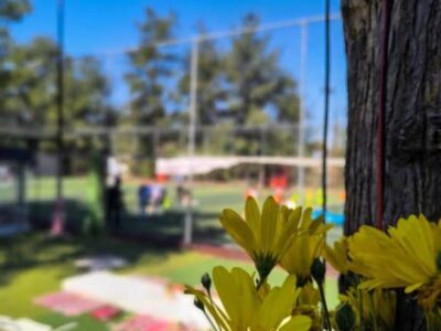 IMG 93bf7072ce385c8c0b49c8d84f6f5bd4 V (Medium)