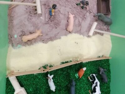 IMG 20260225 182344 (Medium)