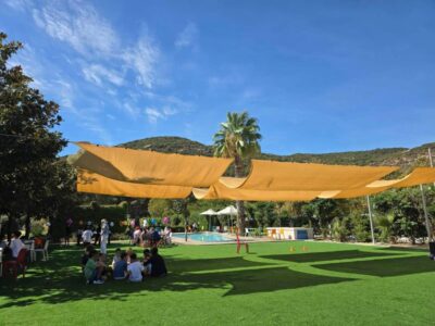 IMG 20260320 163639 (Medium)