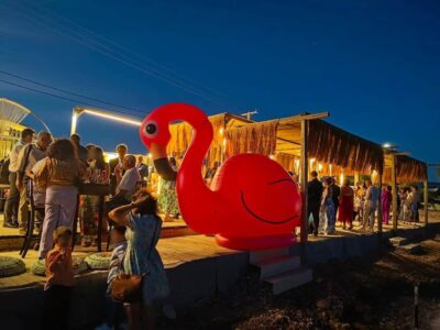 IMG 20260325 154313 (Medium)