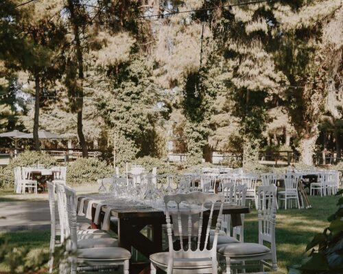 295935343 392545659614011 4840662728055151982 n