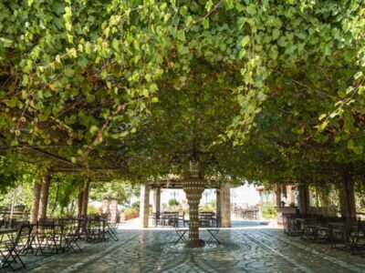 κτημα περεκ 6