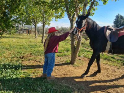 IMG 957f8f7c050120ca8f38a030ed5945ad V