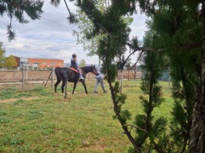 IMG 9b6578bc8a22f5dc5ac3ca2895b51d09 V(1)